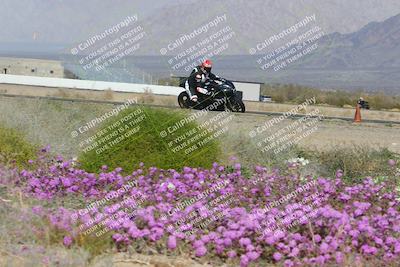 media/Feb-04-2023-SoCal Trackdays (Sat) [[8a776bf2c3]]/Turn 15 Inside Blooming (1050am)/